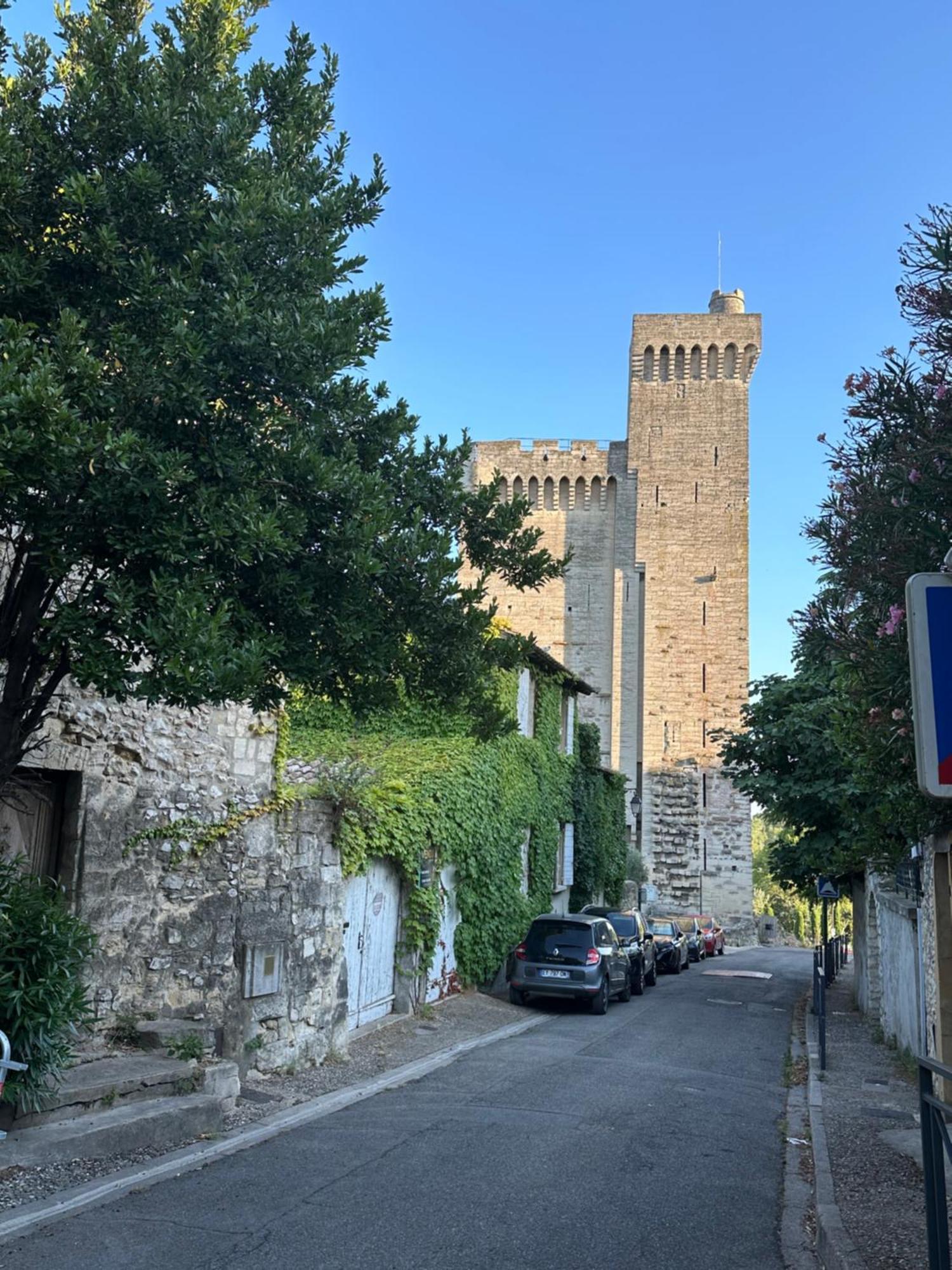 Charmante Petite Maison Avec Vue Panoramique, En Centre Historique, Proche D'Avignon, Ancienne, Renovee, Climatisee, Terrasse, Parking Public Gratuit Villeneuve-lès-Avignon Zewnętrze zdjęcie