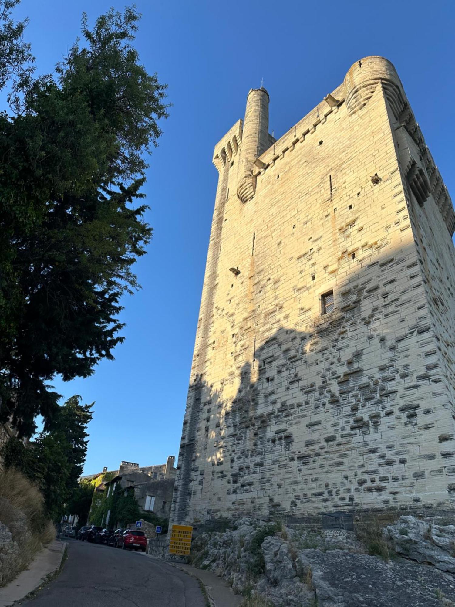 Charmante Petite Maison Avec Vue Panoramique, En Centre Historique, Proche D'Avignon, Ancienne, Renovee, Climatisee, Terrasse, Parking Public Gratuit Villeneuve-lès-Avignon Zewnętrze zdjęcie